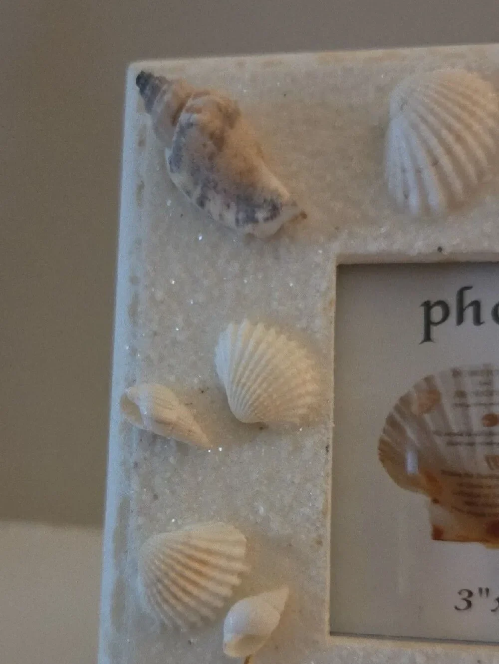 Ceramic Shell Photo Frame